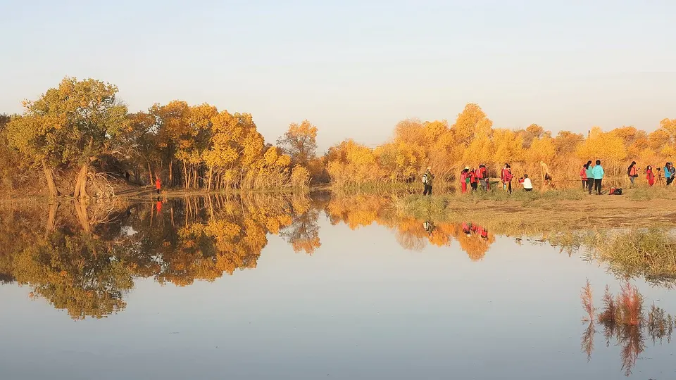 Ejin Poplar Forest (额济纳胡杨林)