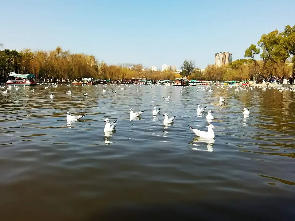 Green Lake Park (翠湖公园)