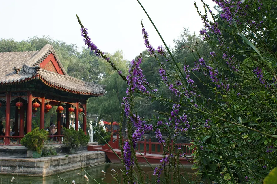 Prince Gong's Mansion (恭王府)