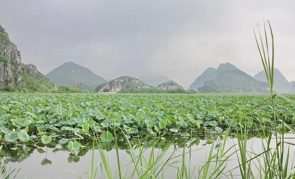 Puzhehei (普者黑)