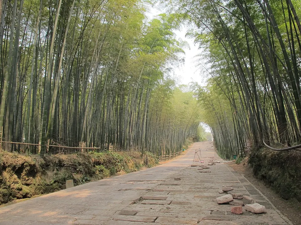 Shunan Bamboo Sea (蜀南竹海)