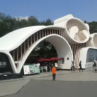 Chengdu Giant Panda Base