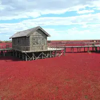 Panjin Red Beach
