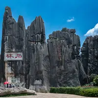 Stone Forest
