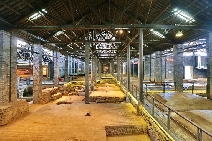 Shuijingfang Distillery Site (水井街酒坊遗址)