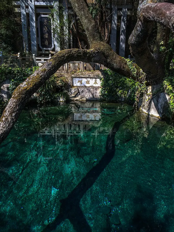 Butterfly Spring (蝴蝶泉)