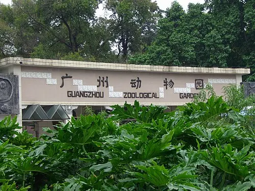 Guangzhou Zoo (广州动物园)