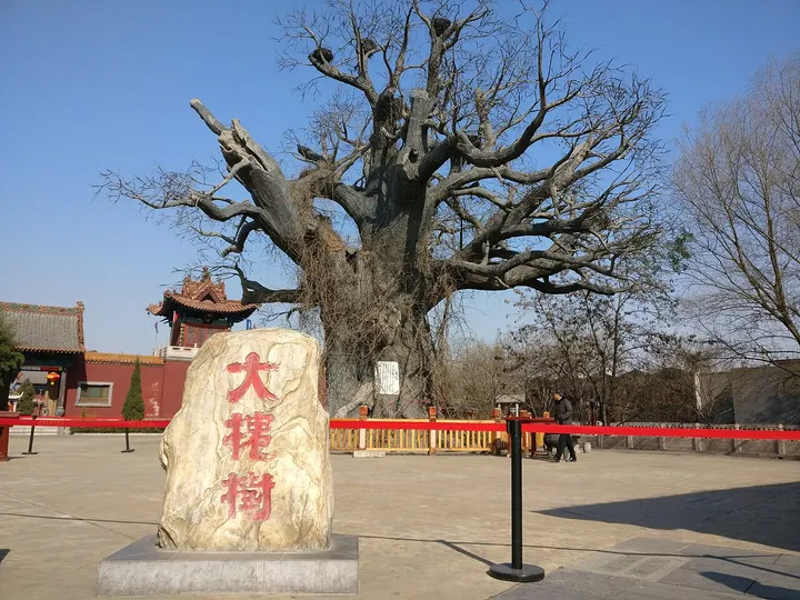 Hongtong Locust Tree Ancestor-Worship Park (洪洞大槐树寻根祭祖园)