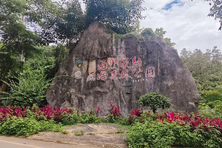 Xishuangbanna Primeval Forest Park (西双版纳原始森林公园)