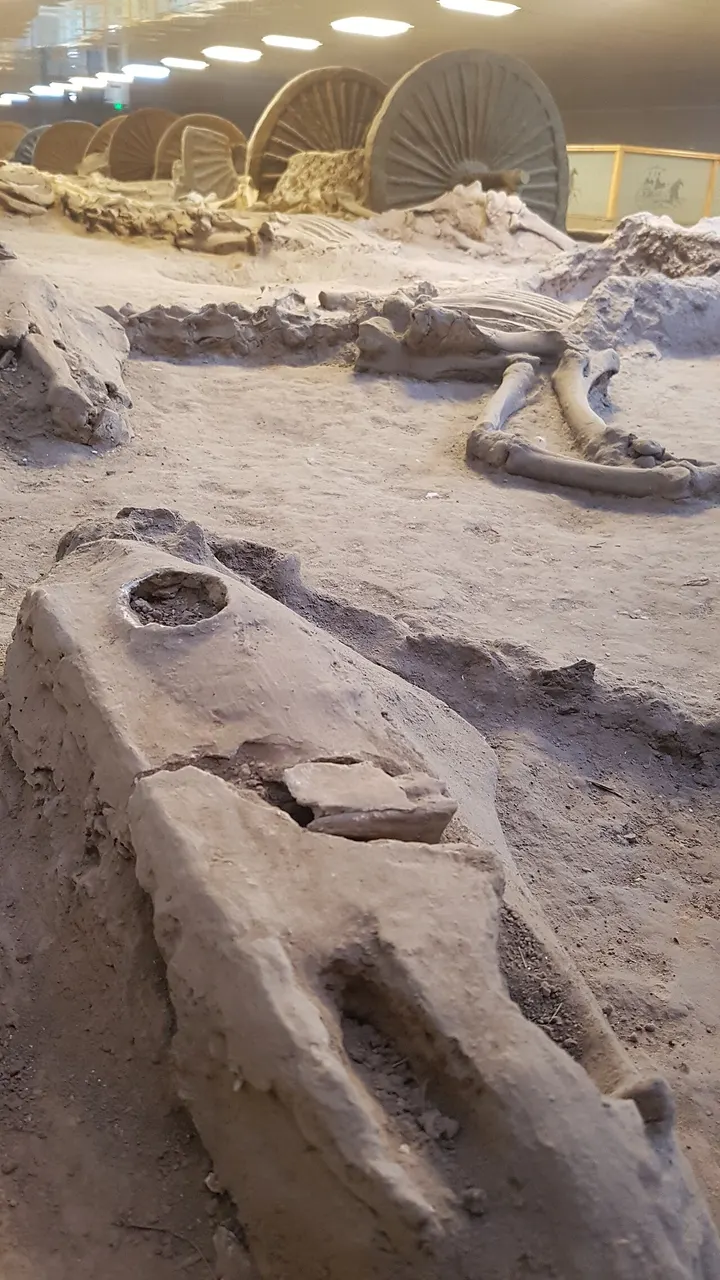China Ancient Cart Museum (中国古车博物馆)
