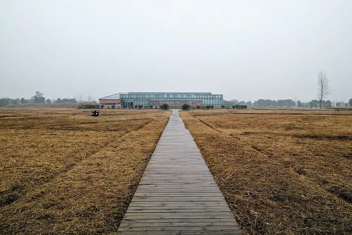 Chengtoushan Archaeological Site Park (城头山遗址)