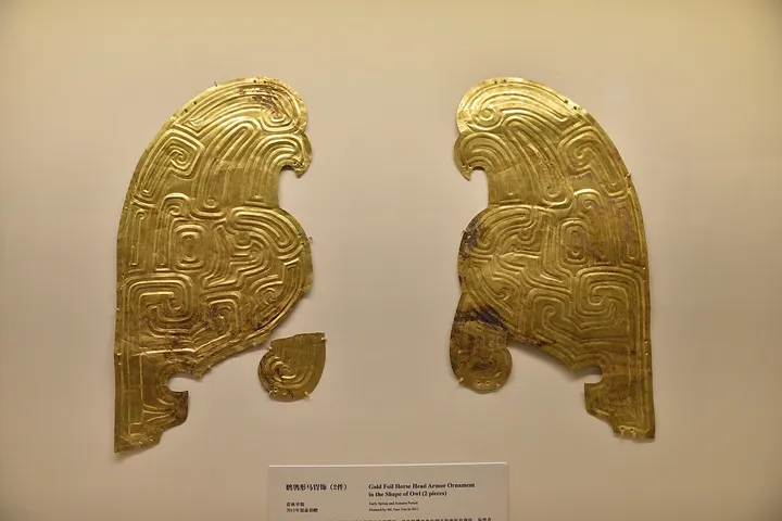 Dabuzishan Qin Royal Cemetery (大堡子山遗址)