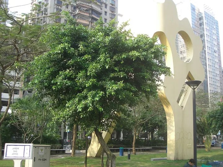 Arts Park (艺园)