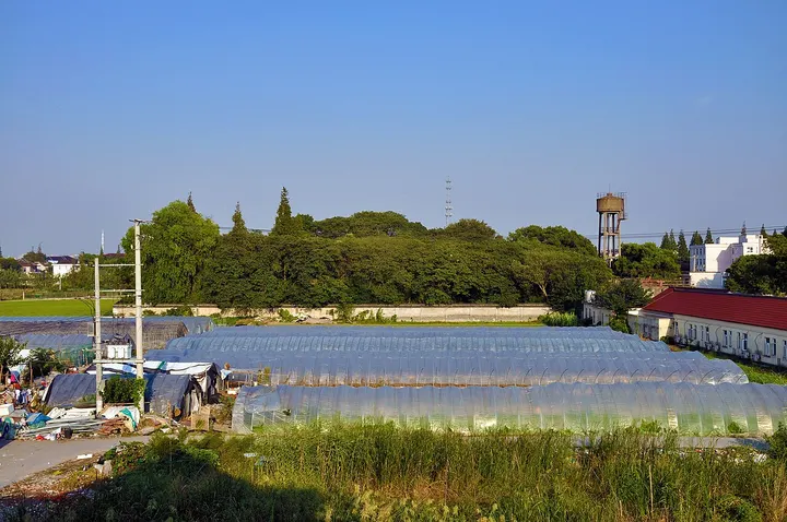 Fuquanshan Site (福泉山遗址)