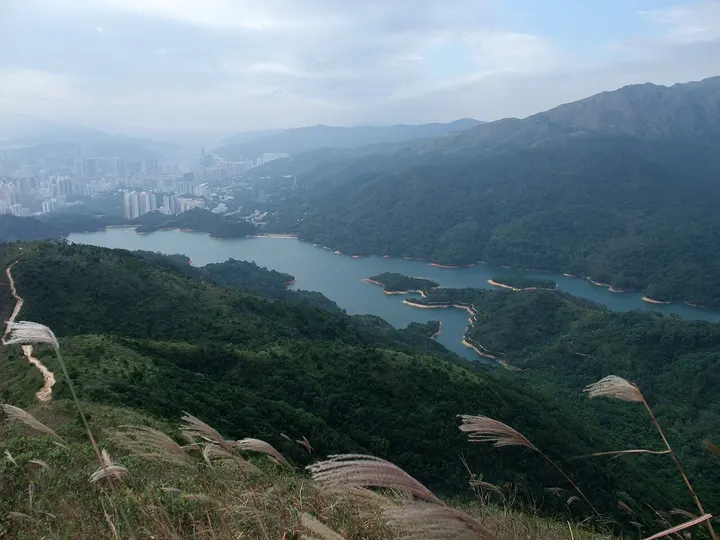 Memorial Stone of Shing Mun Reservoir (城门水塘纪念碑)
