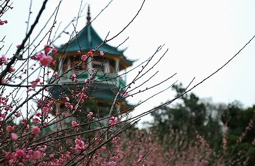 Wuxi Plum Garden (梅园)