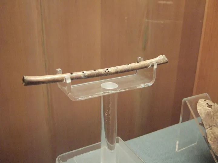 Jiahu Site and Museum (贾湖遗址)