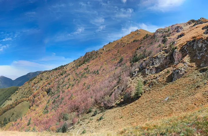 Xiaowutai Jinhe Scenic Area (小五台金河景区)