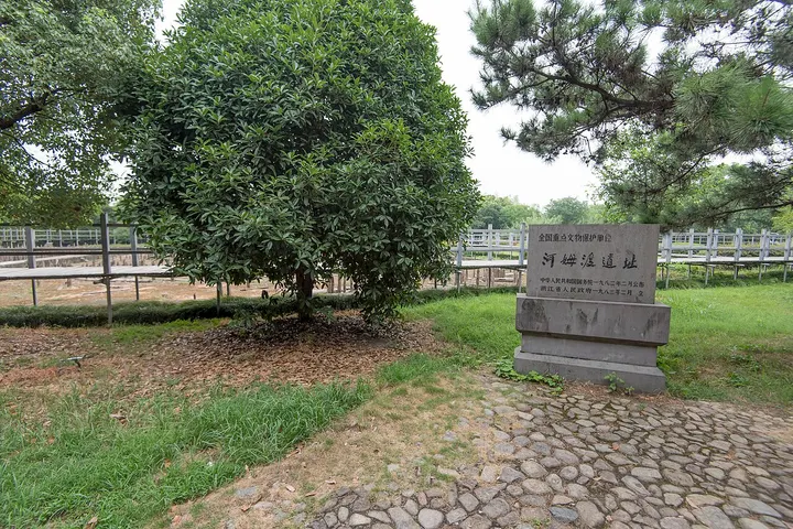 Hemudu Site and Museum (河姆渡遗址)