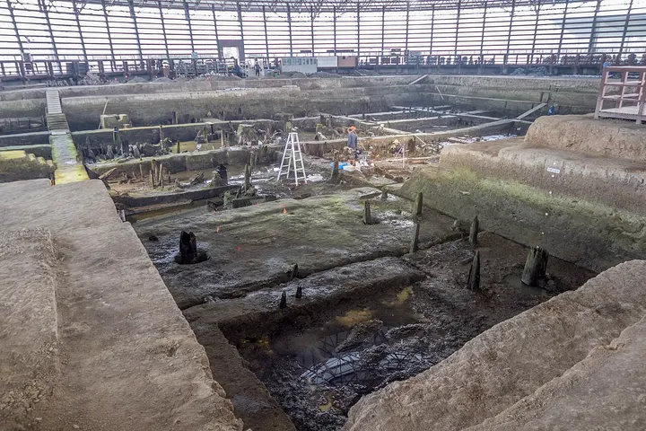 Tianluoshan Site (田螺山遗址)